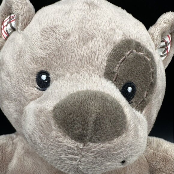 Teddy Bear Plush Dex Soothing Baby Sounds Its A Cinch Soft Stuffed Animal Toy - Picture 4 of 14